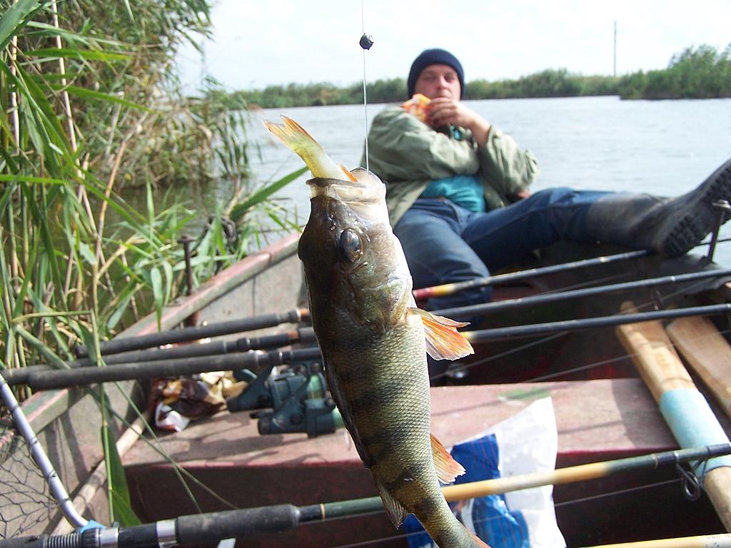 DIN DELTA - ab12re2.jpg